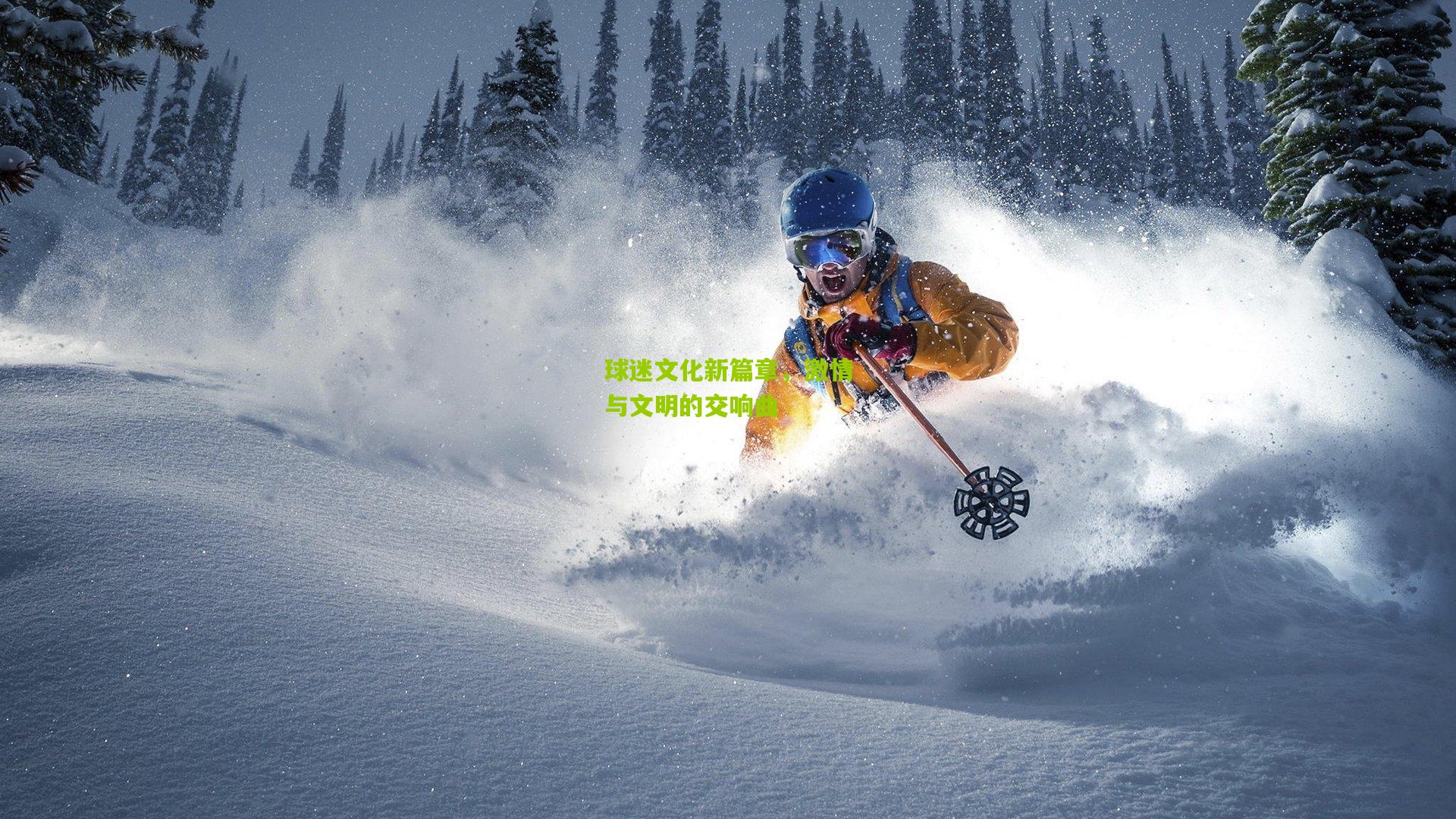 球迷文化新篇章,激情与文明的交响曲