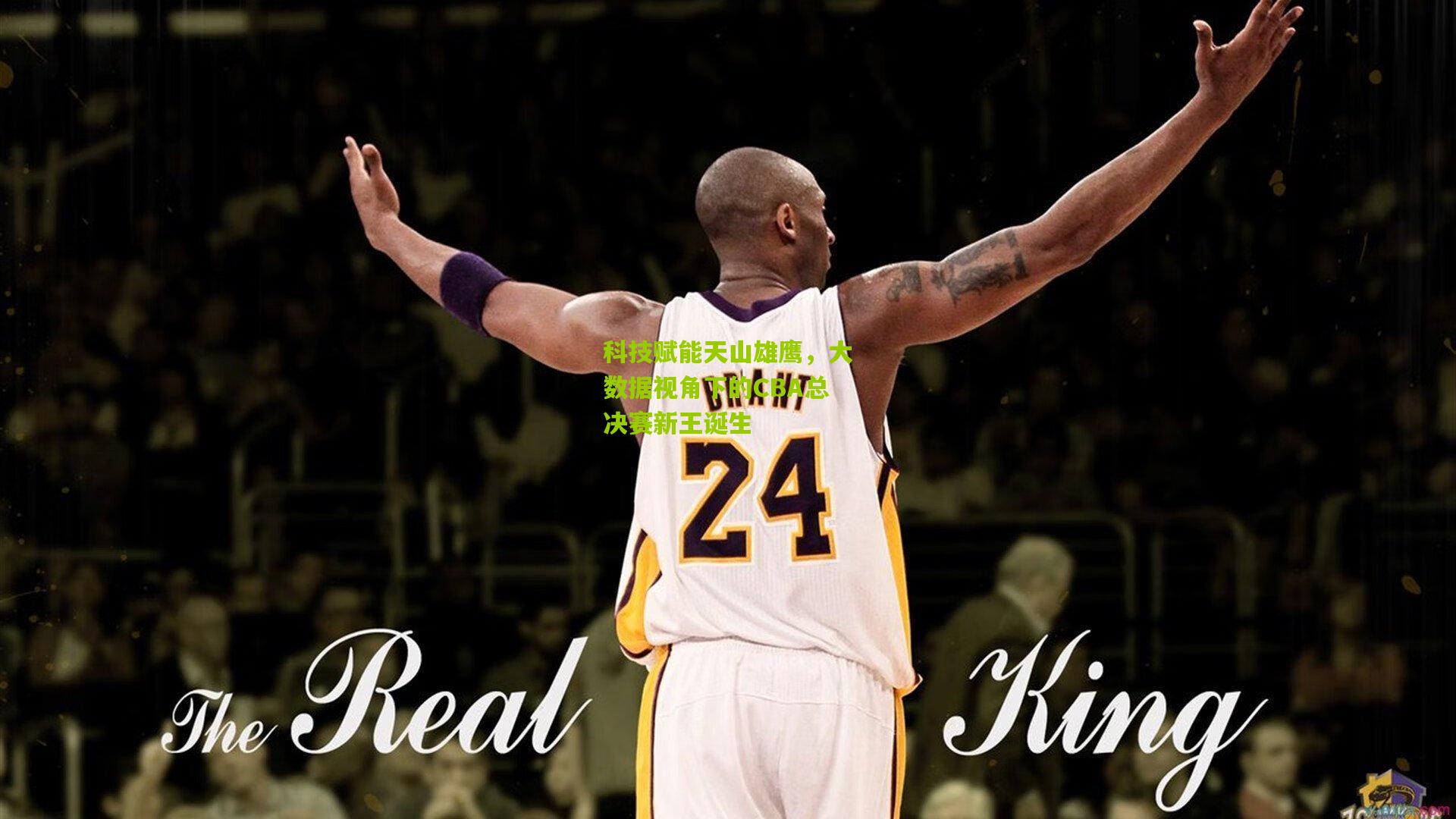 科技赋能天山雄鹰，大数据视角下的CBA总决赛新王诞生