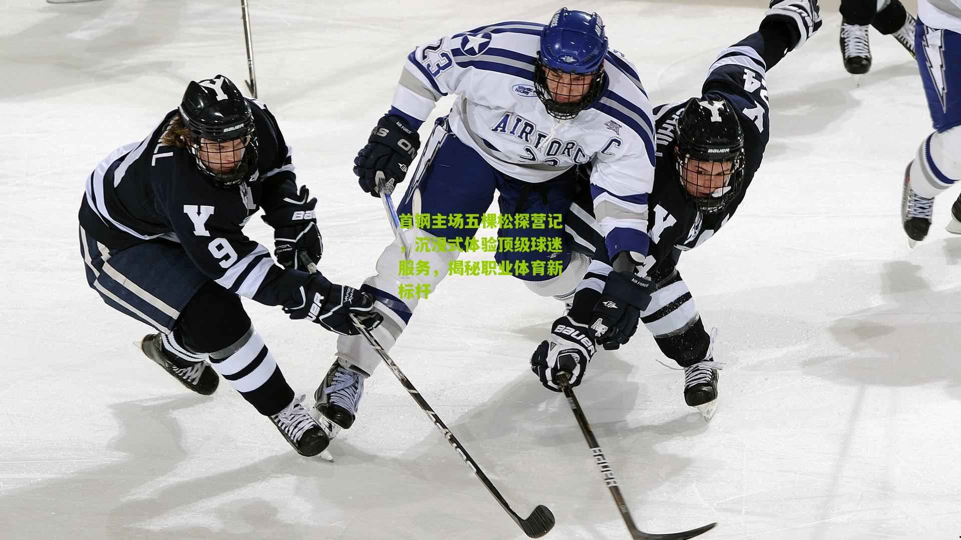 首钢主场五棵松探营记，沉浸式体验顶级球迷服务，揭秘职业体育新标杆